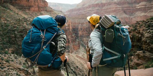 Essential Gear for Your Backpacking Adventure